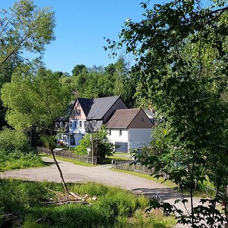 Naturferienhaus Luppbodemuhle Allrode Esterno foto