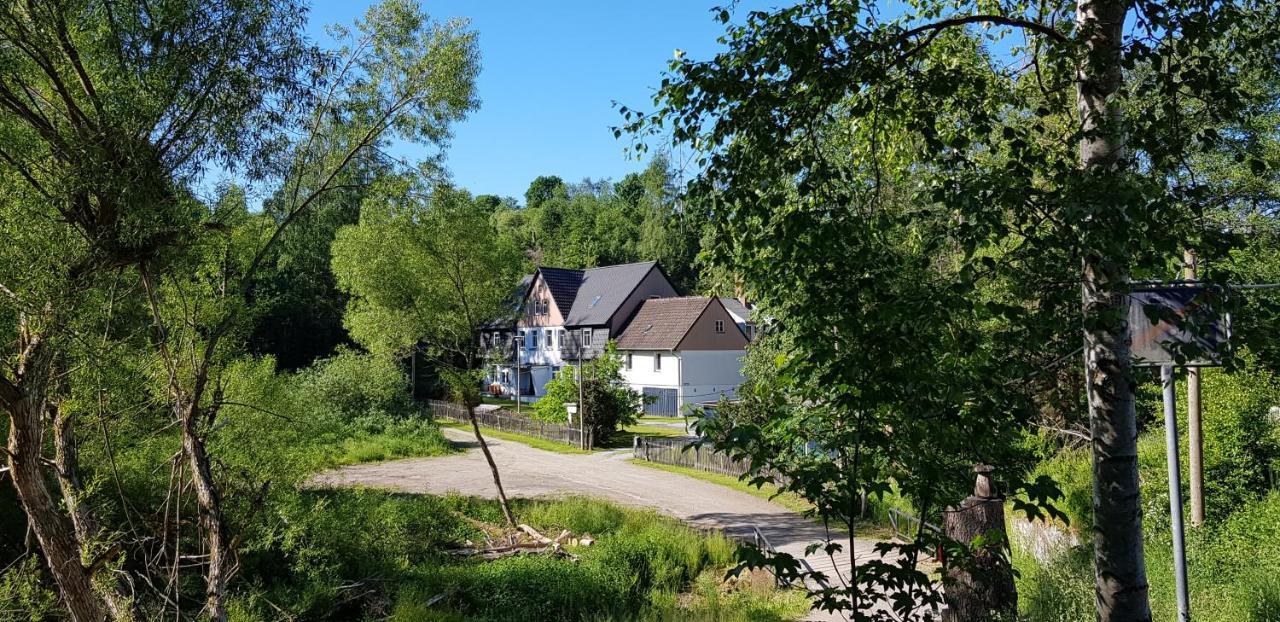 Naturferienhaus Luppbodemuhle Allrode Esterno foto