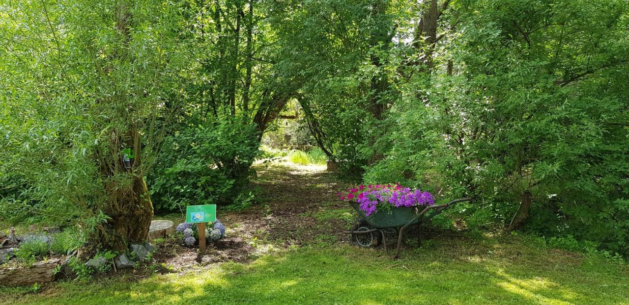 Naturferienhaus Luppbodemuhle Allrode Esterno foto