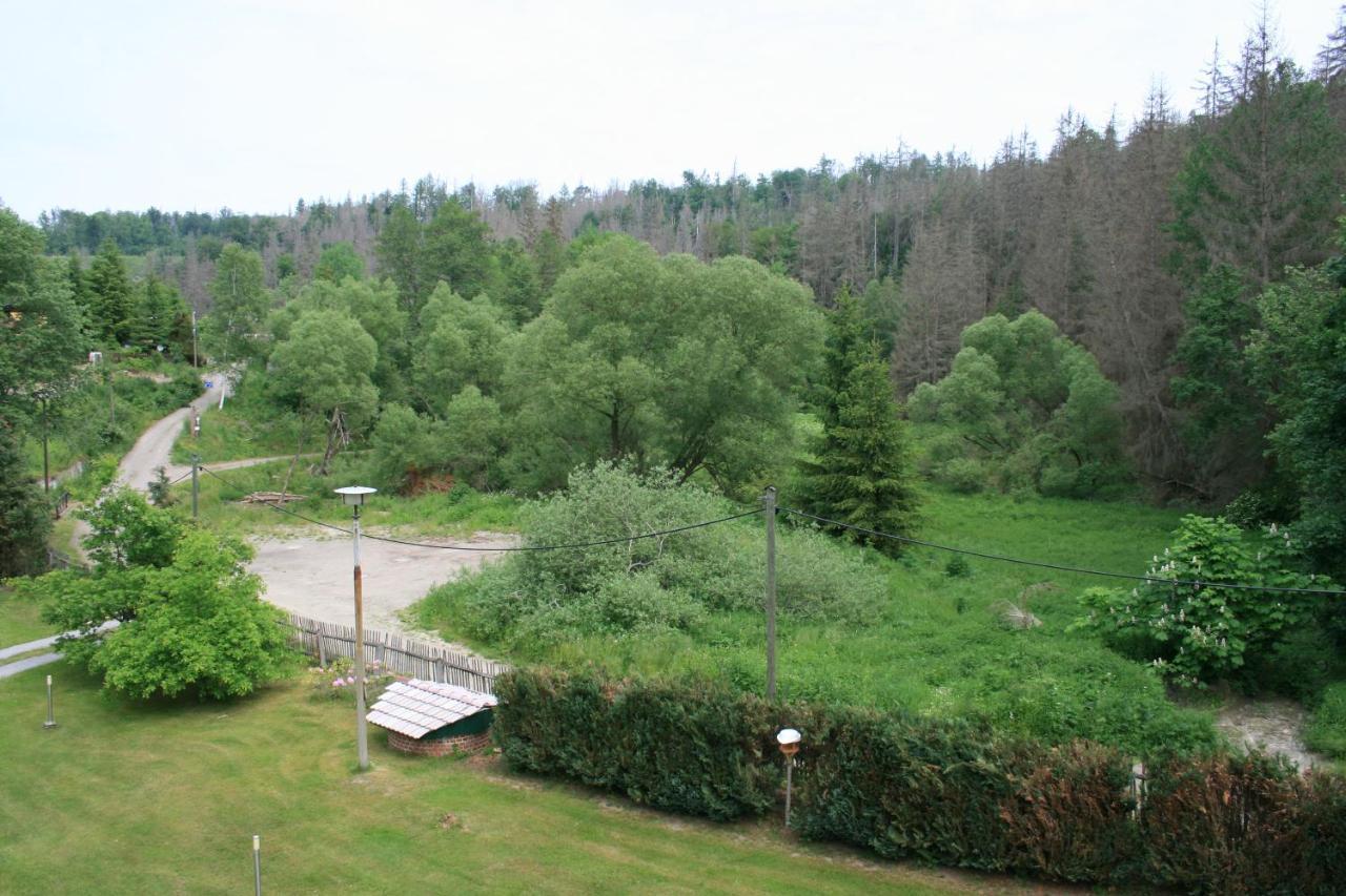 Naturferienhaus Luppbodemuhle Allrode Esterno foto