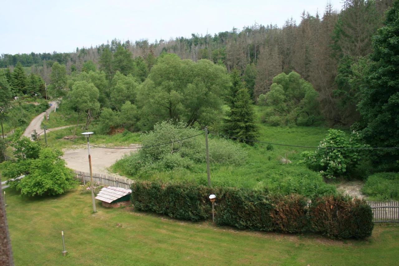 Naturferienhaus Luppbodemuhle Allrode Esterno foto