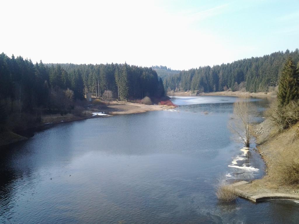 Naturferienhaus Luppbodemuhle Allrode Esterno foto