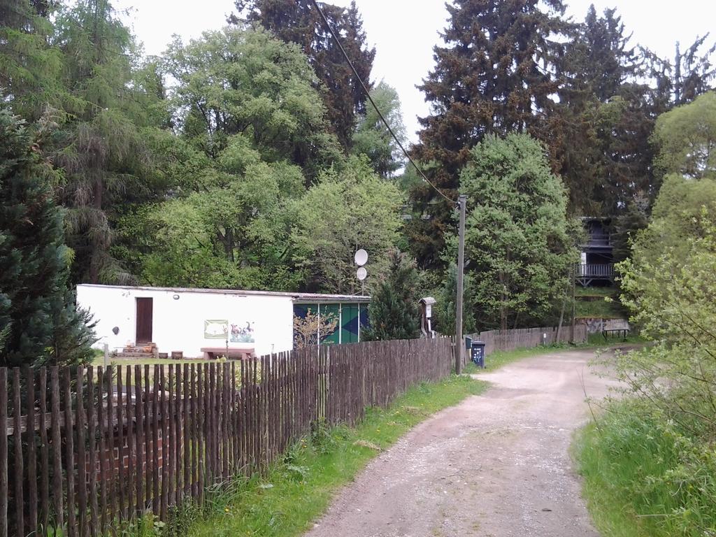 Naturferienhaus Luppbodemuhle Allrode Esterno foto