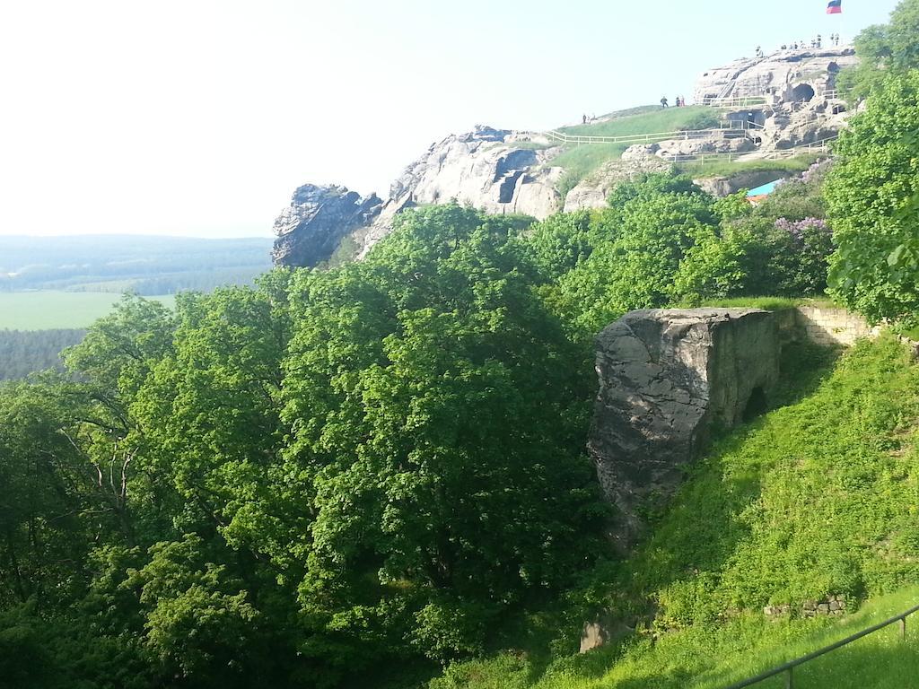 Naturferienhaus Luppbodemuhle Allrode Esterno foto