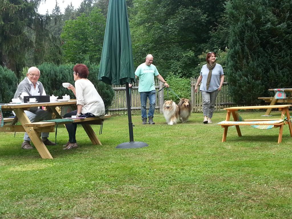 Naturferienhaus Luppbodemuhle Allrode Esterno foto