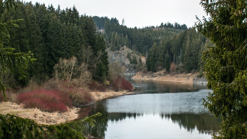 Naturferienhaus Luppbodemuhle Allrode Esterno foto