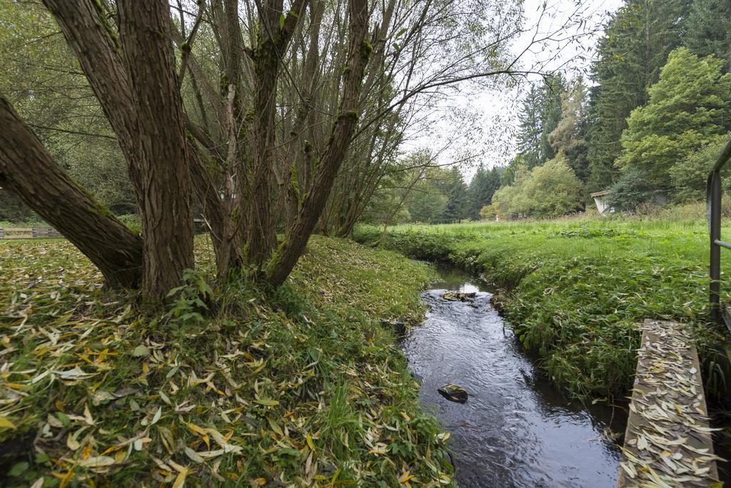 Naturferienhaus Luppbodemuhle Allrode Esterno foto