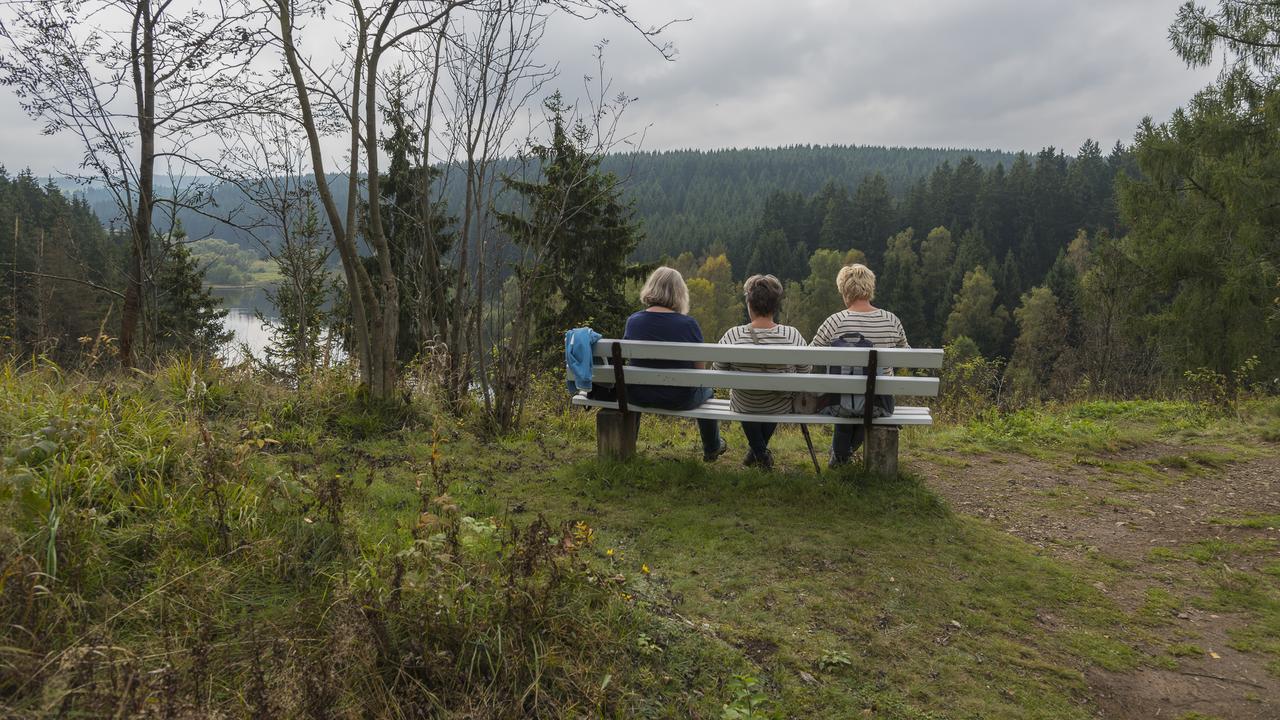 Naturferienhaus Luppbodemuhle Allrode Esterno foto